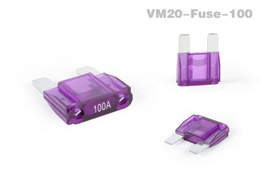 100A Discharge Fuse for Emove Roadster